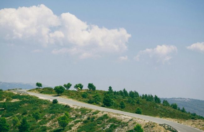 Land Investment